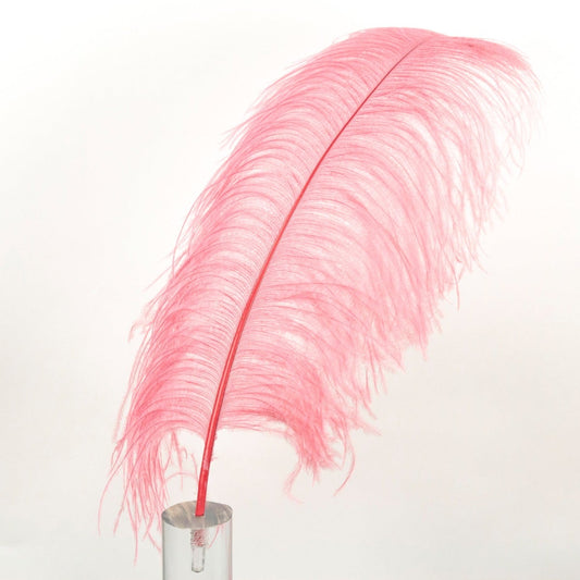 Ostrich Feathers-Prime Femina - 17- 25" Met Gala-Potpourri