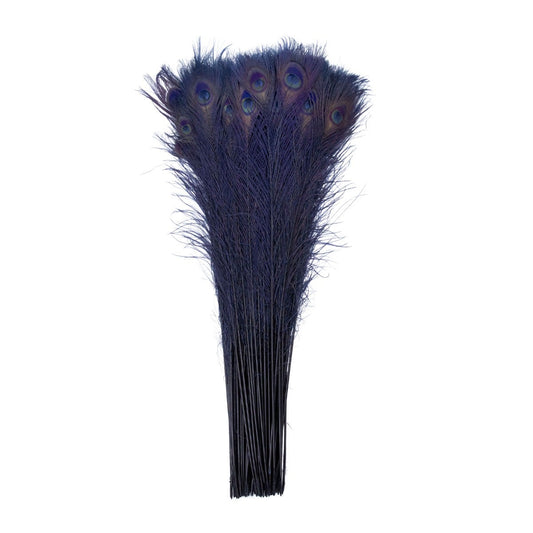 Peacock Tail Eyes Bleached Dyed  Feathers - 25 - 40" -Navy