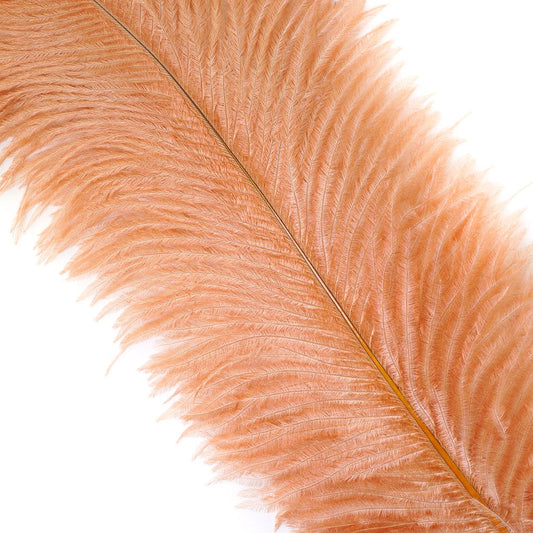 Large Ostrich Feathers - 17"+ Drabs - Cinnamon