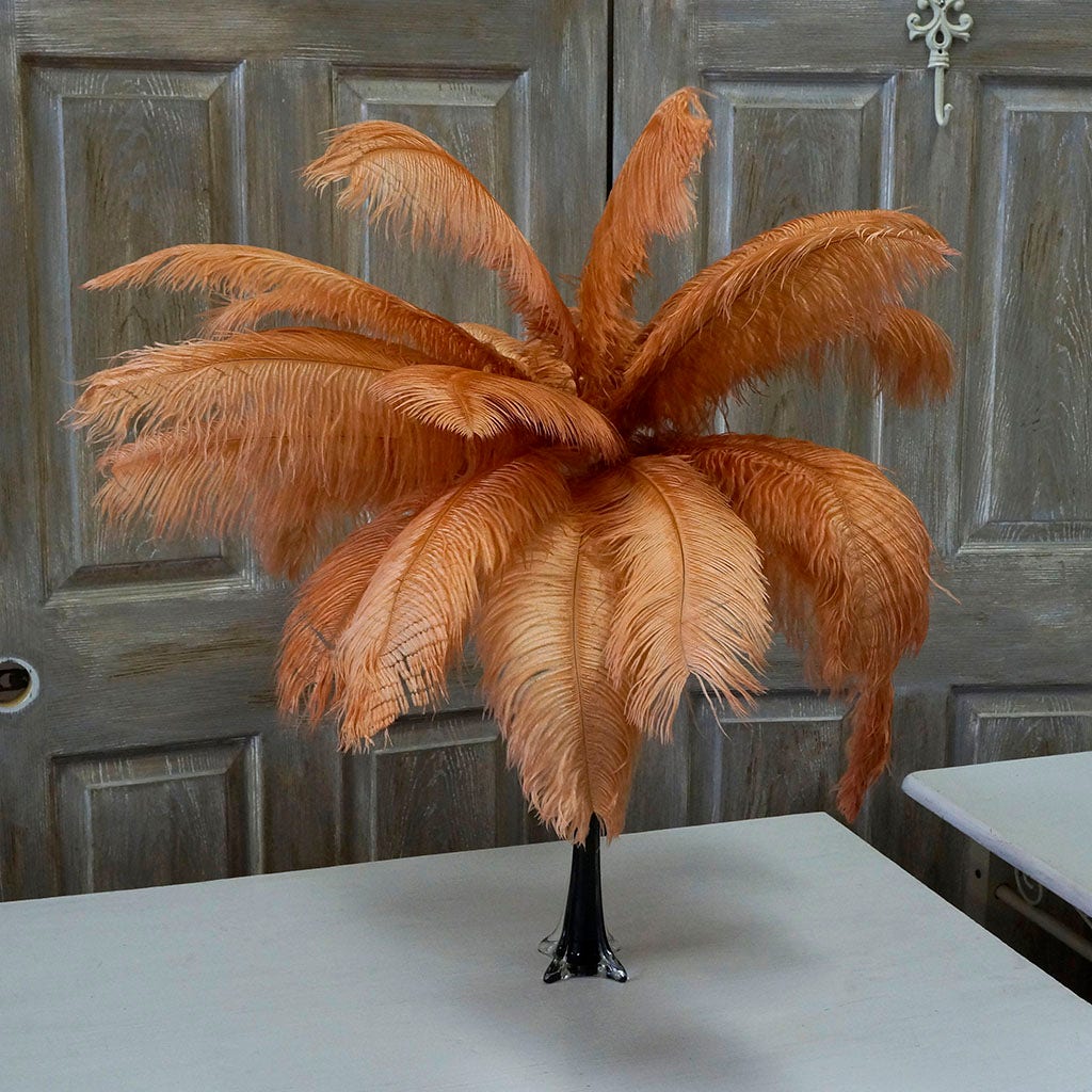 Large Ostrich Feathers - 17"+ Drabs - Cinnamon