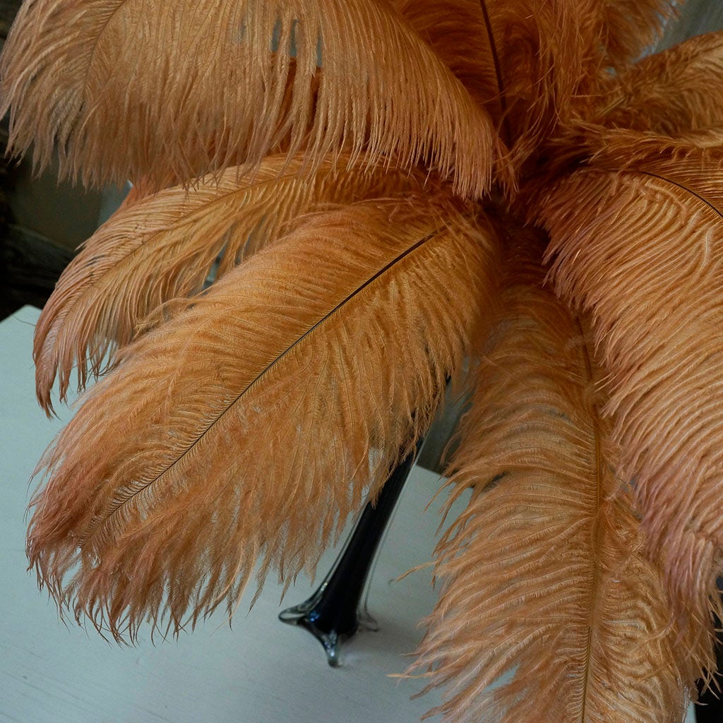 Large Ostrich Feathers - 17"+ Drabs - Cinnamon