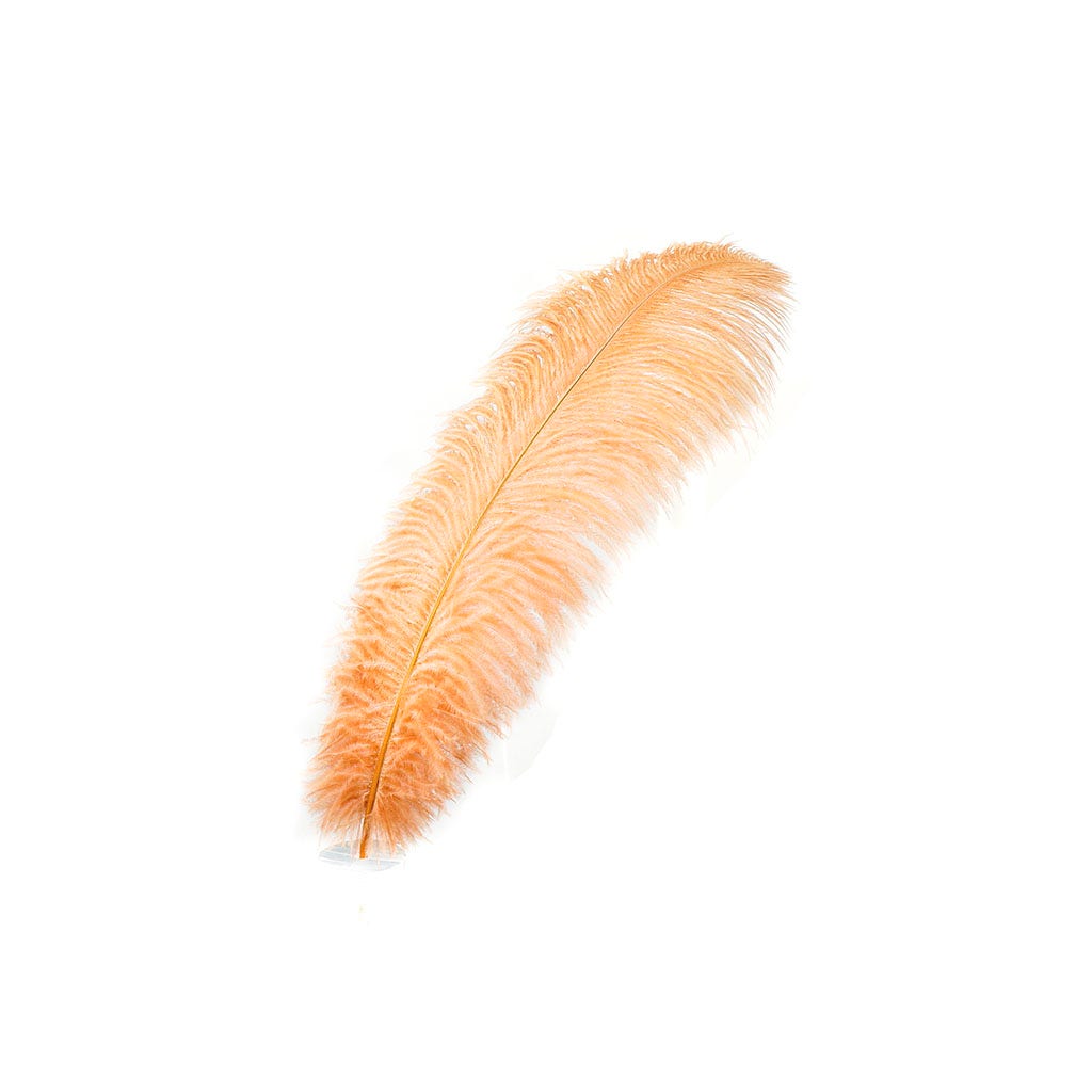 Large Ostrich Feathers - 17"+ Drabs - Cinnamon