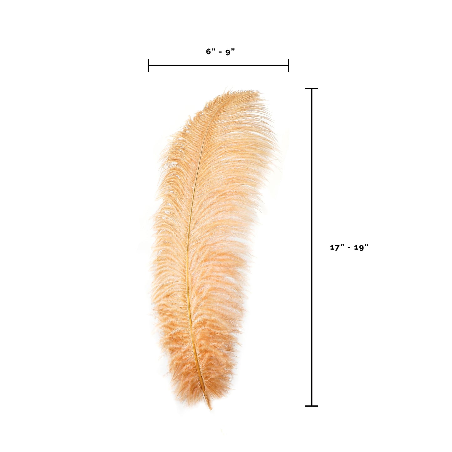 Large Ostrich Feathers - 17"+ Drabs - Cinnamon