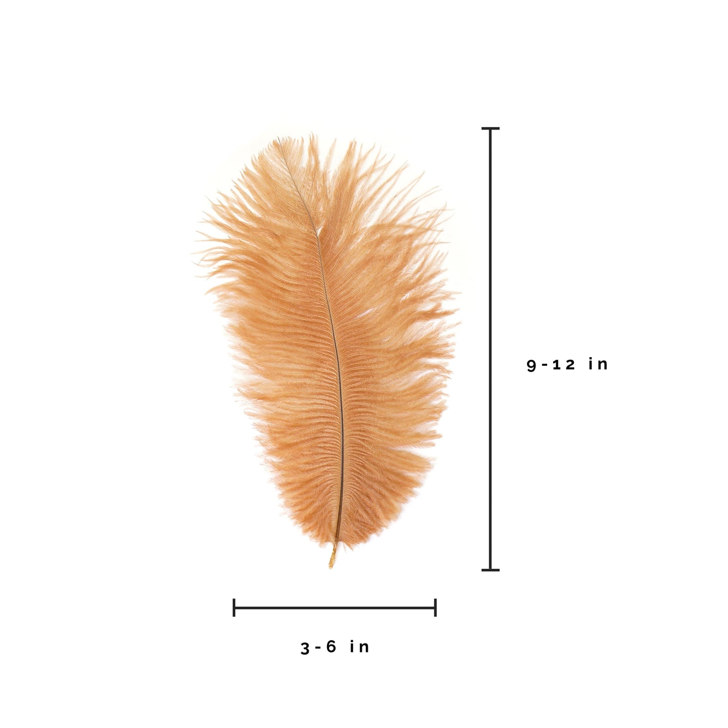 Ostrich Feathers 9-12" Drabs -  Cinnamon