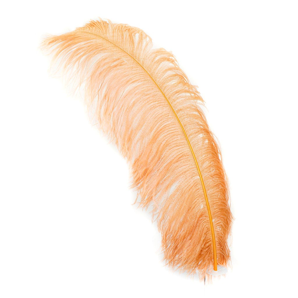 Large Ostrich Feathers - 24-30 Prime Femina Plumes - Black