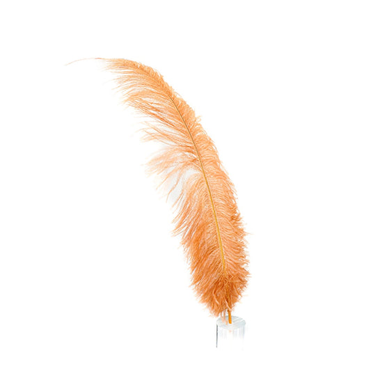 Large Ostrich Feathers - 18-24" Spads - Cinnamon