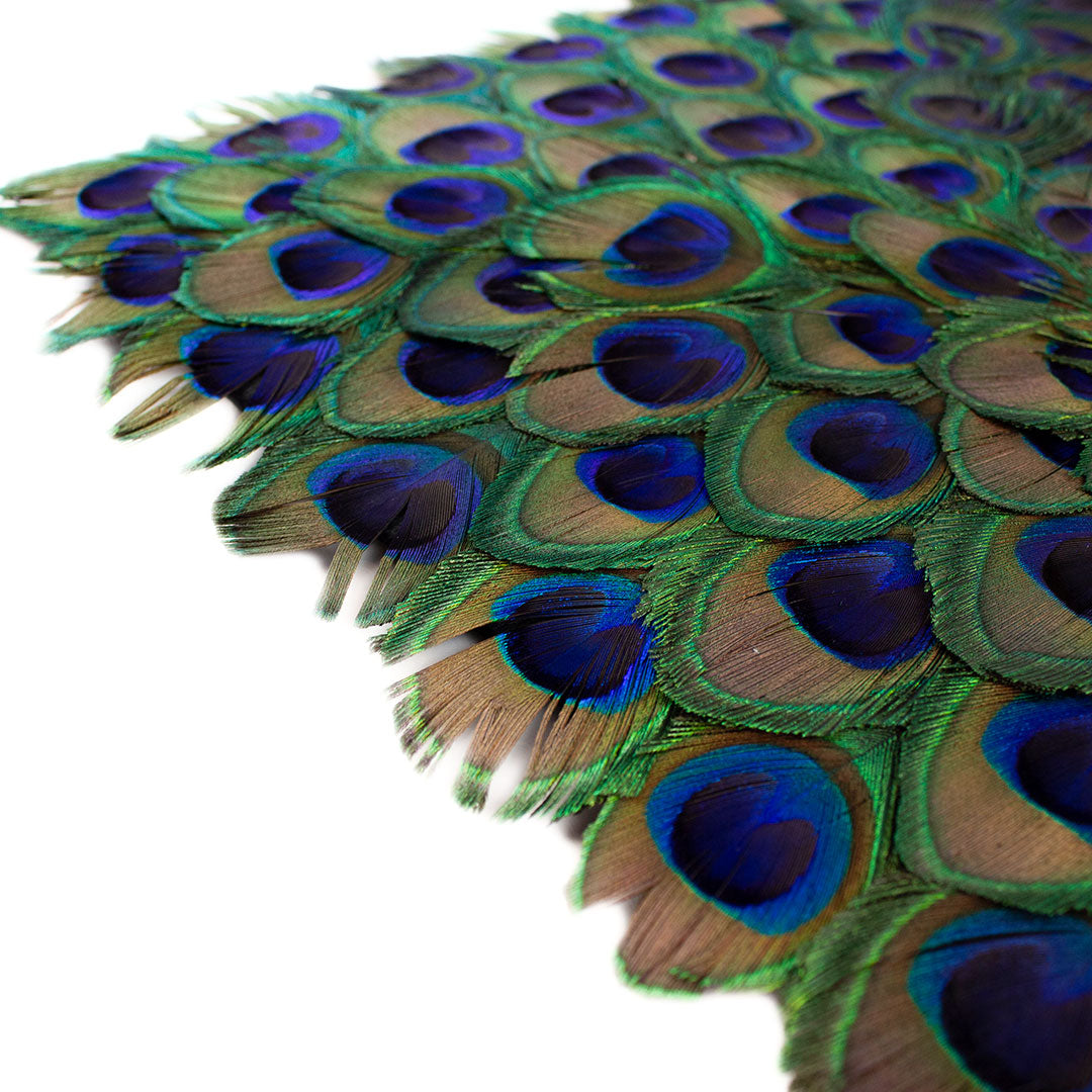 Peacock Feather Rectangular Placemat