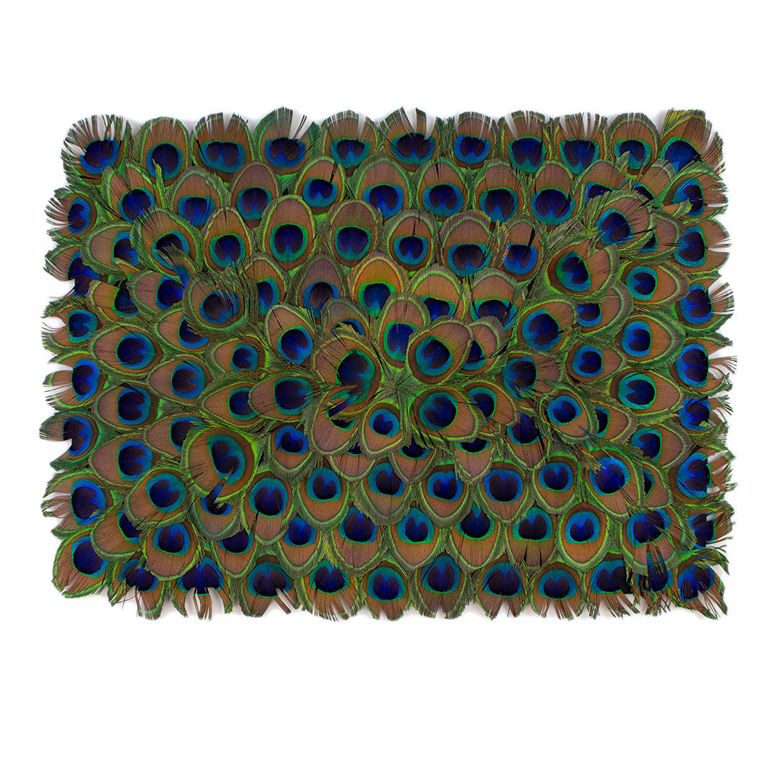 Peacock Feather Rectangular Placemat