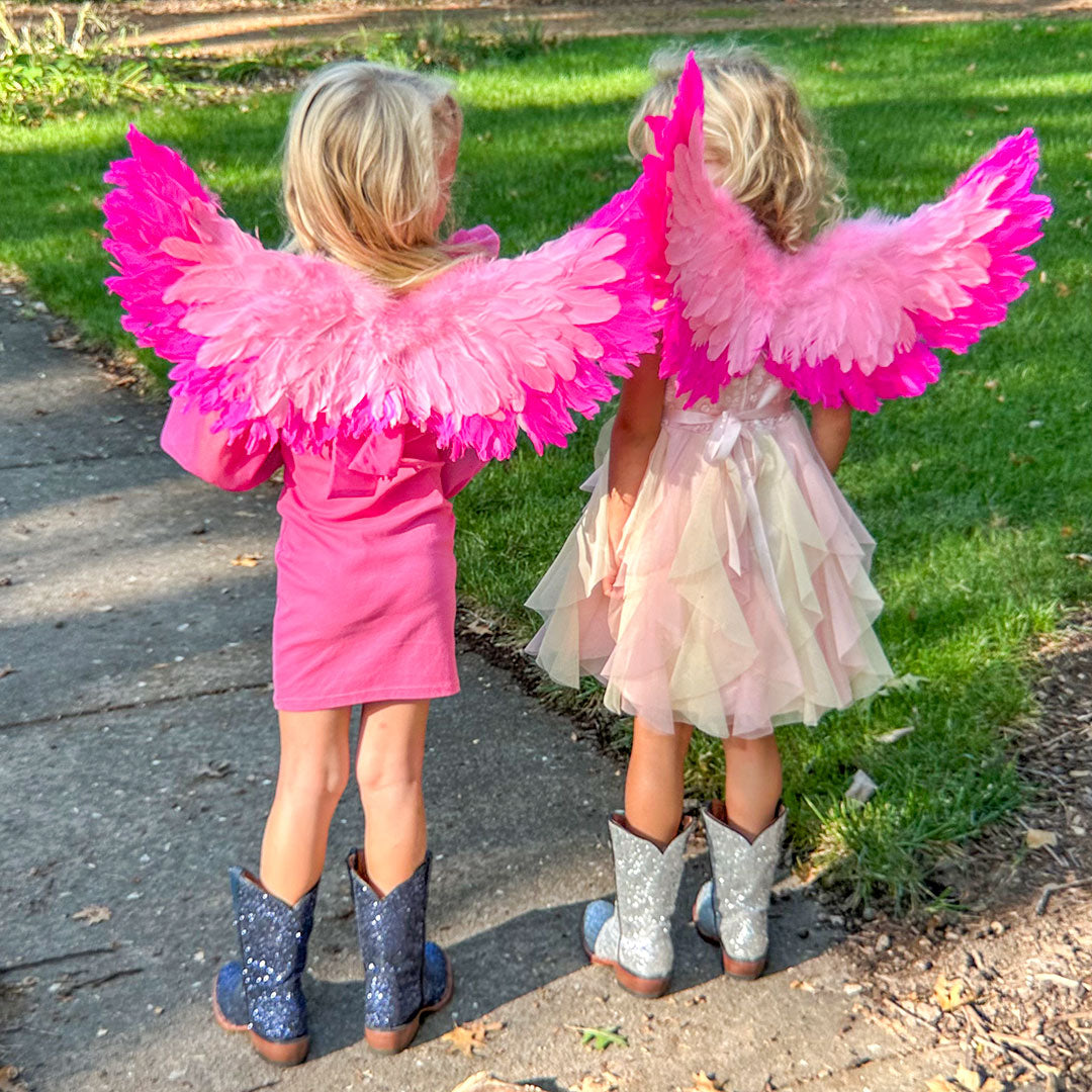 Small Two-tone Pink Wings