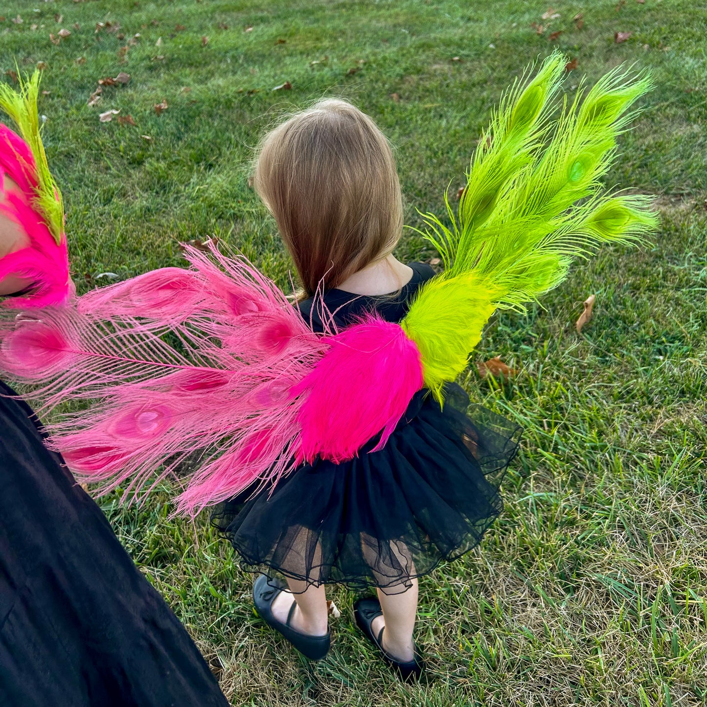 Wicked Peacock Fairy Wings & Cuffs