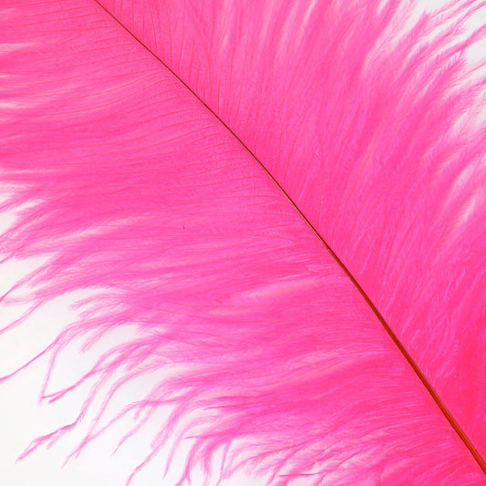 Large Ostrich Feathers - 17"+ Drabs - Pink Orient