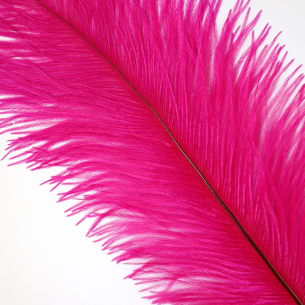 Large Ostrich Feathers - 17"+ Drabs - Shocking Pink