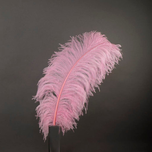 Large Ostrich Feathers - 20-25" Prime Femina Plumes - Candy Pink