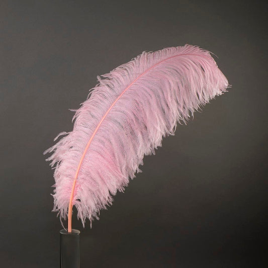 Large Ostrich Feathers - 24-30 Prime Femina Plumes - Black