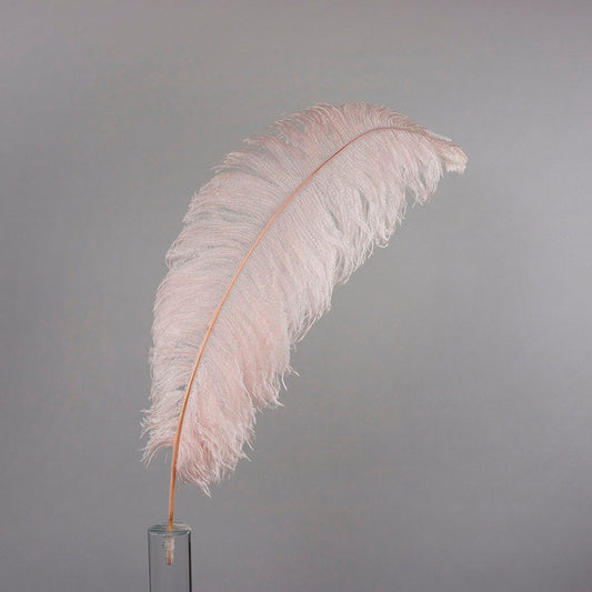 Large Ostrich Feathers - 24-30" Prime Femina Plumes - Champagne