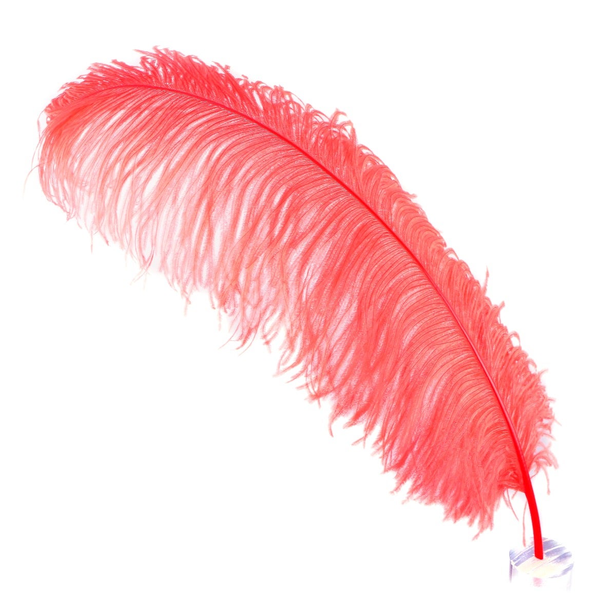 Large Ostrich Feathers - 20-25" Prime Femina Plumes - Coral