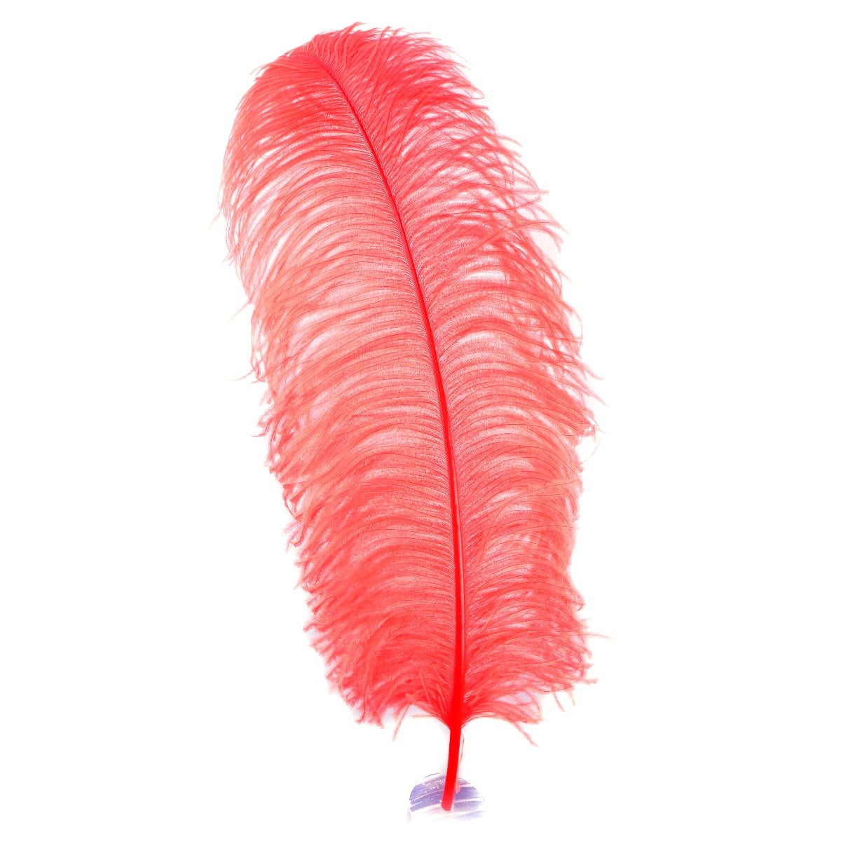 Large Ostrich Feathers - 20-25" Prime Femina Plumes - Coral
