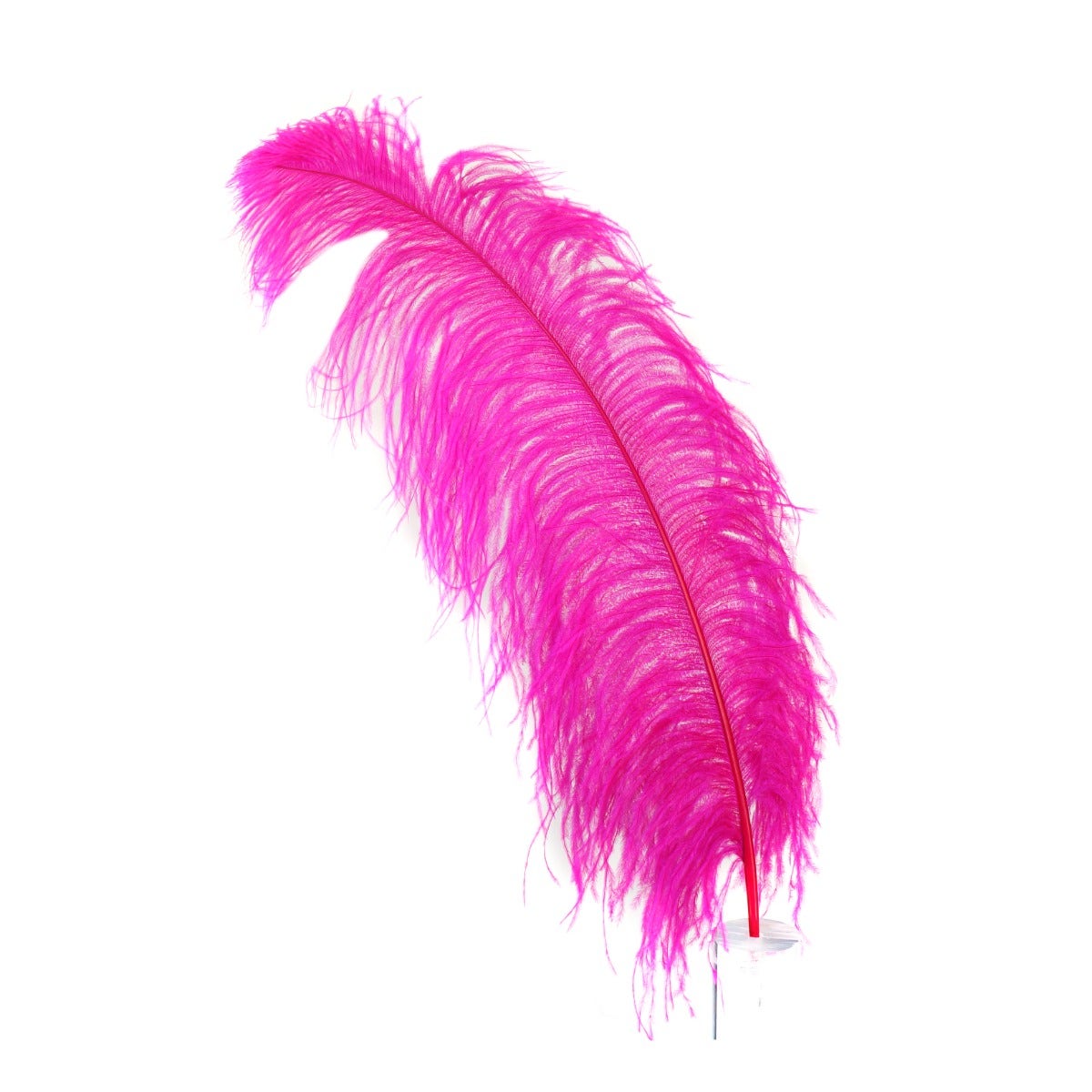 Bulk Ostrich Feathers-Damaged Femina - Shocking Pink – featherplace.com ...