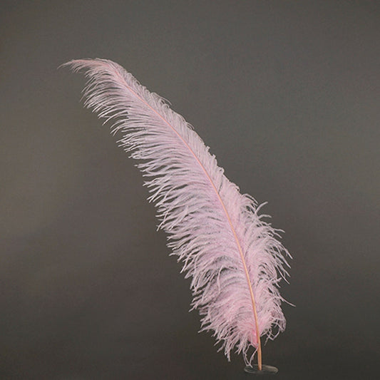 Large Ostrich Feathers - 18-24" Spads - Candy Pink