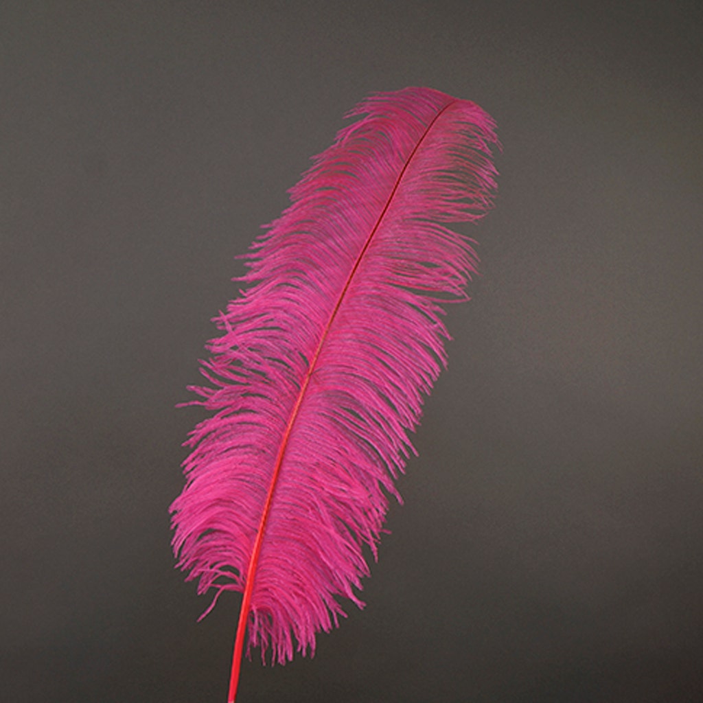 Large Ostrich Feathers - 18-24" Spads - Pink Orient