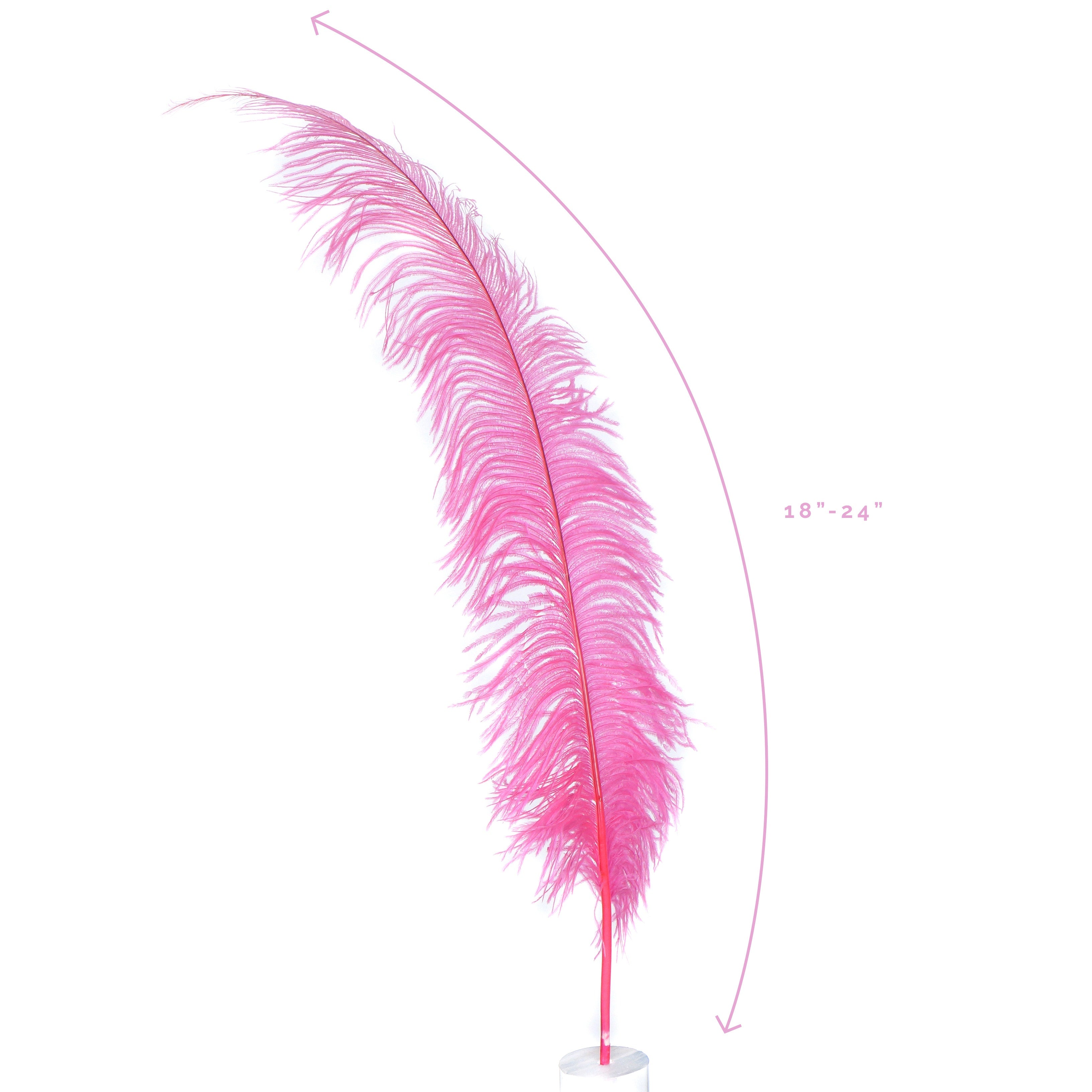 Large Ostrich Feathers 18 24 Spads Pink Orient featherplace by Zucker Feather Products Inc
