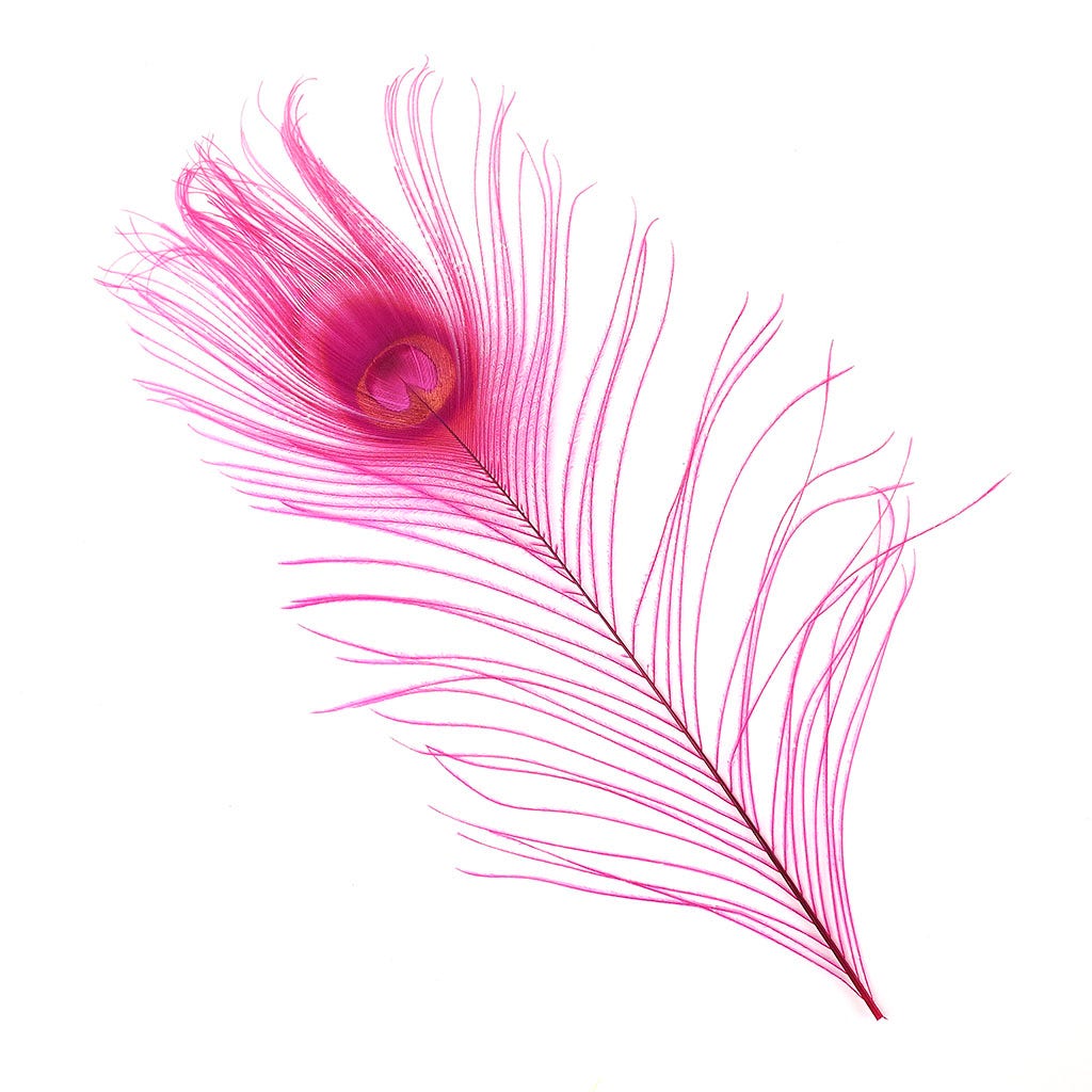 Peacock Feather Eyes Bleached & Dyed Shocking Pink