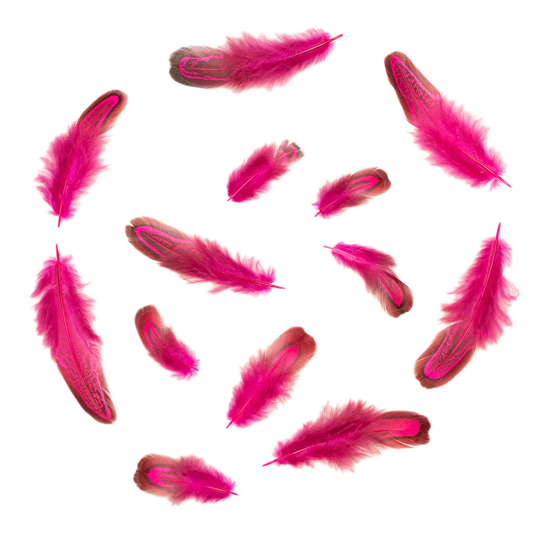 Shocking Pink Almond Ringneck Pheasant Loose Plumage 2-3 inch