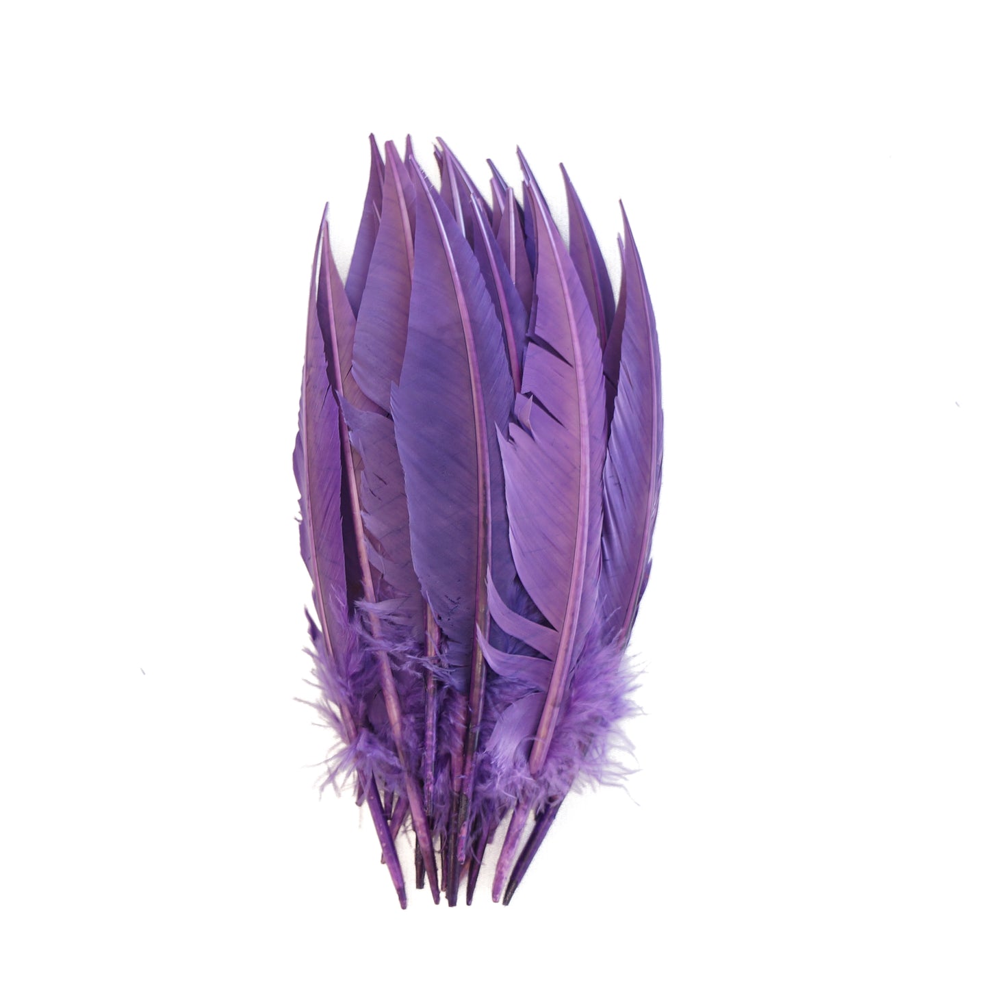 Lavender Dagger Turkey Quill Feathers 9-12"