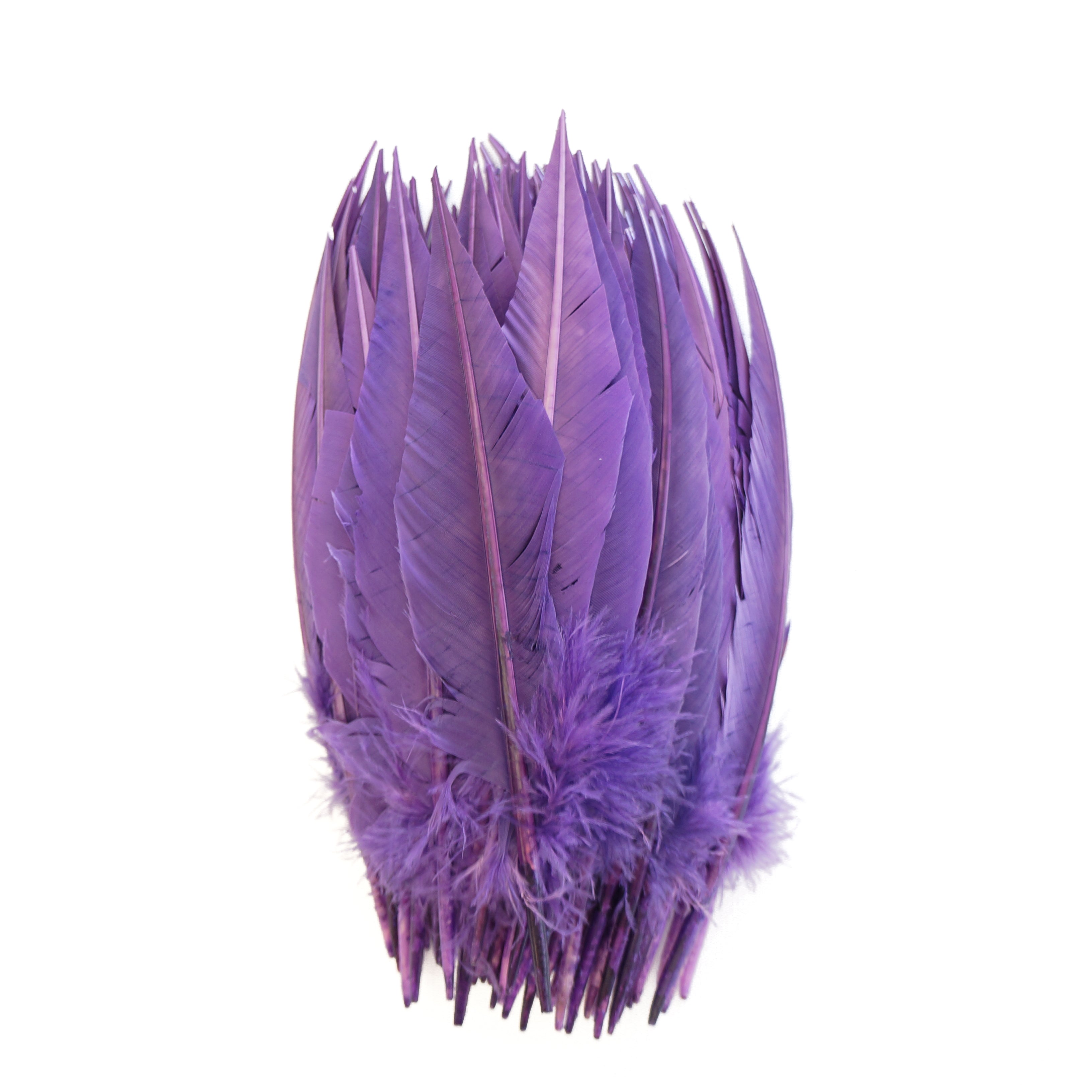 Dagger Quills | Lavender Purple Turkey Feathers for Carnival ...