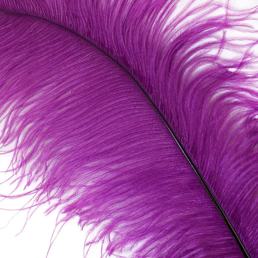 Large Ostrich Feathers - 17"+ Drabs - Purple