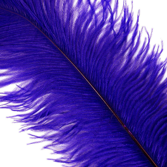 Large Ostrich Feathers - 17"+ Drabs - Regal