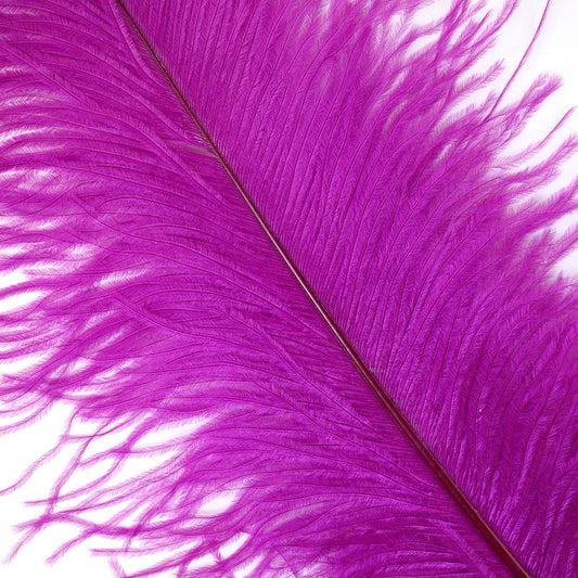 Large Ostrich Feathers - 17"+ Drabs - Very Berry