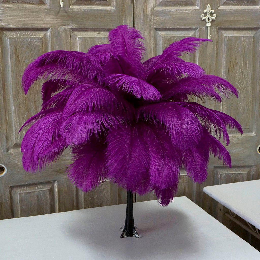 Large Ostrich Feathers - 17+ Drabs - Black