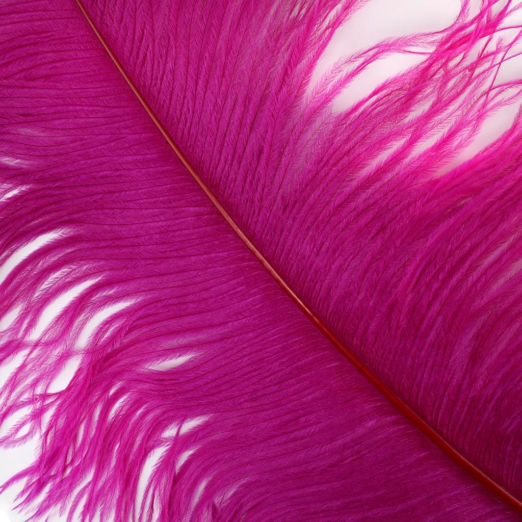Large Ostrich Feathers - 20-25" Prime Femina Plumes - Very Berry