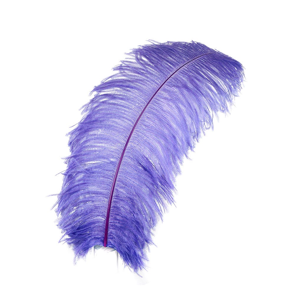 Large Ostrich Feathers 24 30