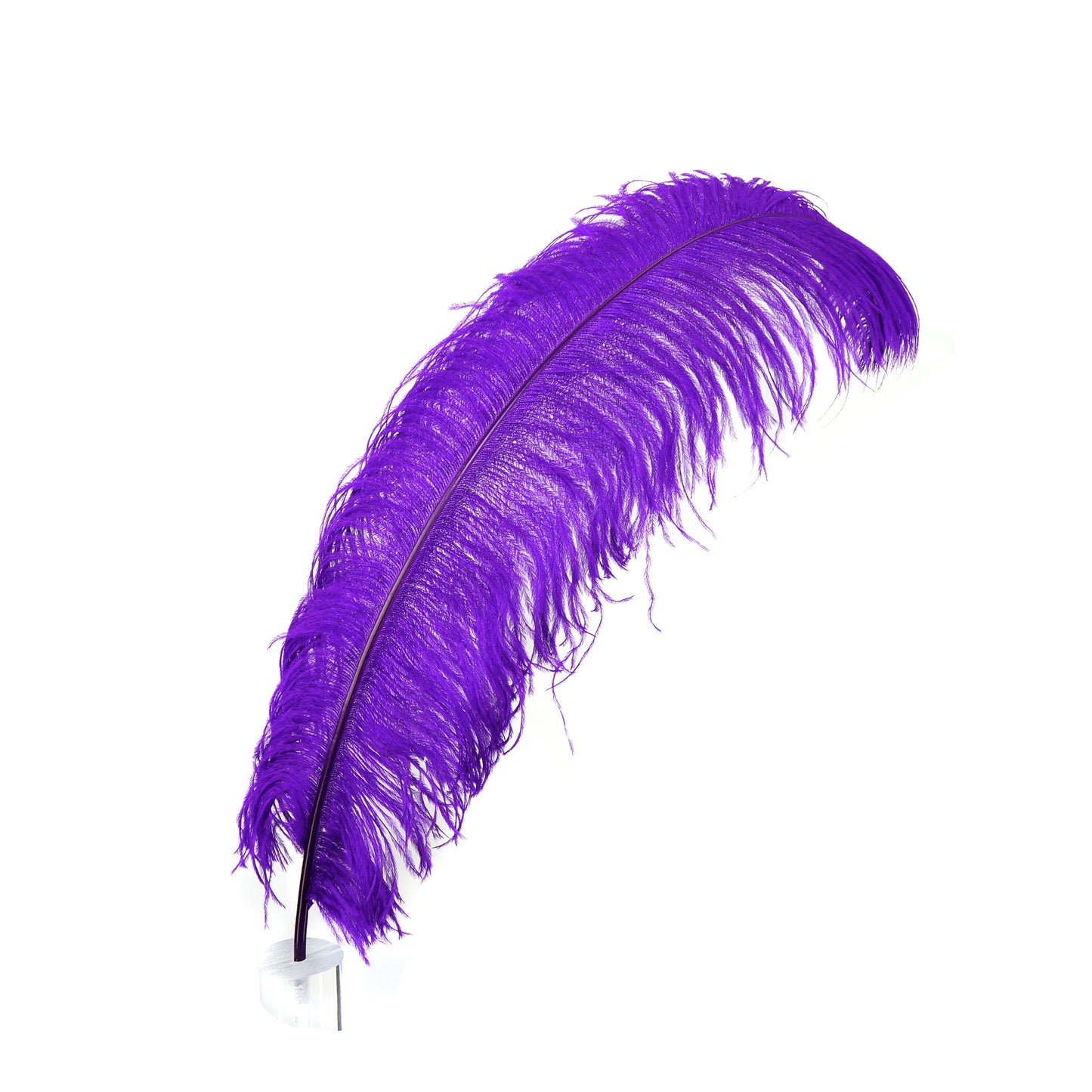 Large Ostrich Feathers - 24-30" Prime Femina Plumes - Regal