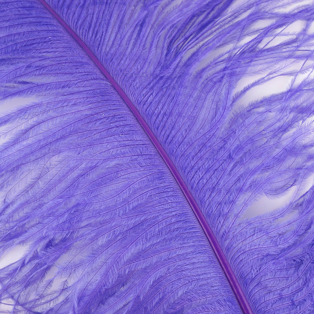 Large Ostrich Feathers - 18-24" Spads - Lavender