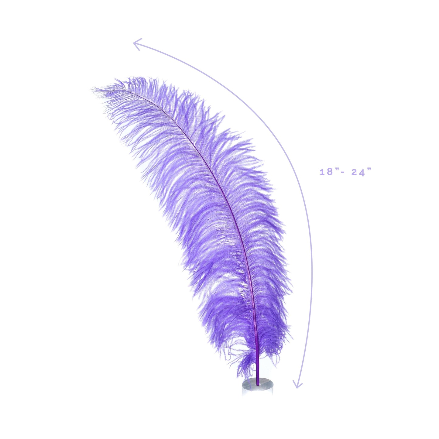 Large Ostrich Feathers - 18-24" Spads - Lavender