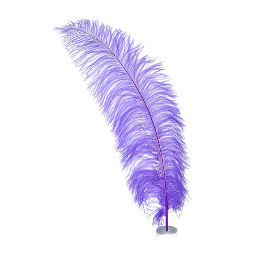 Large Ostrich Feathers - 18-24" Spads - Lavender