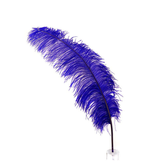 Large Ostrich Feathers - 18-24" Spads - Regal