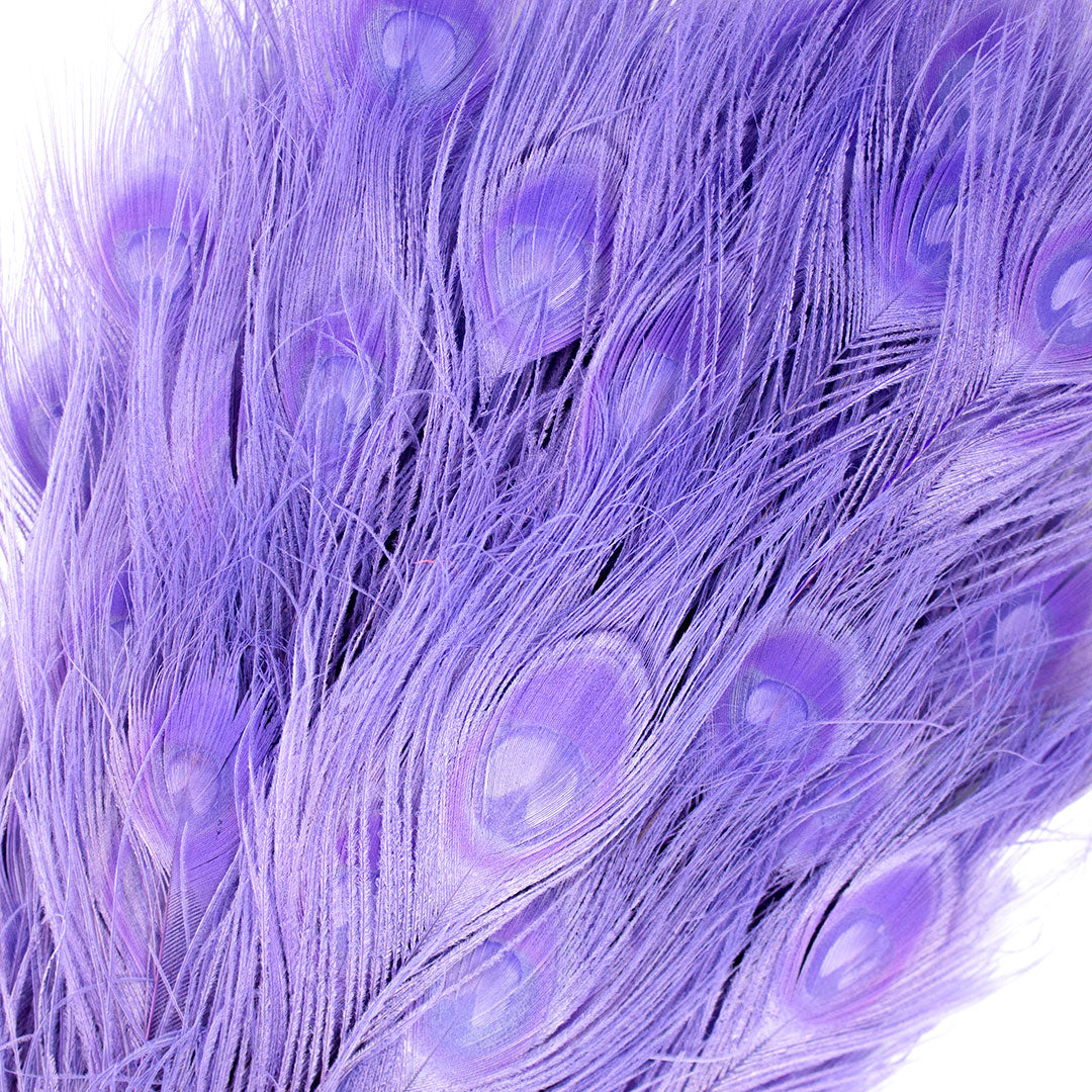 Peacock Feathers | 25-40" Tail Eyes | Fluorescent Lilac