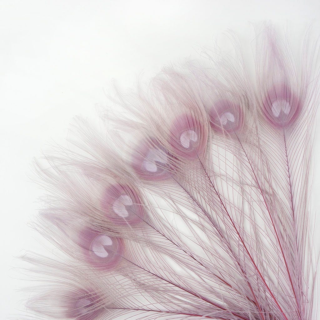 Peacock Feather Eyes Bleached & Dyed Orchid