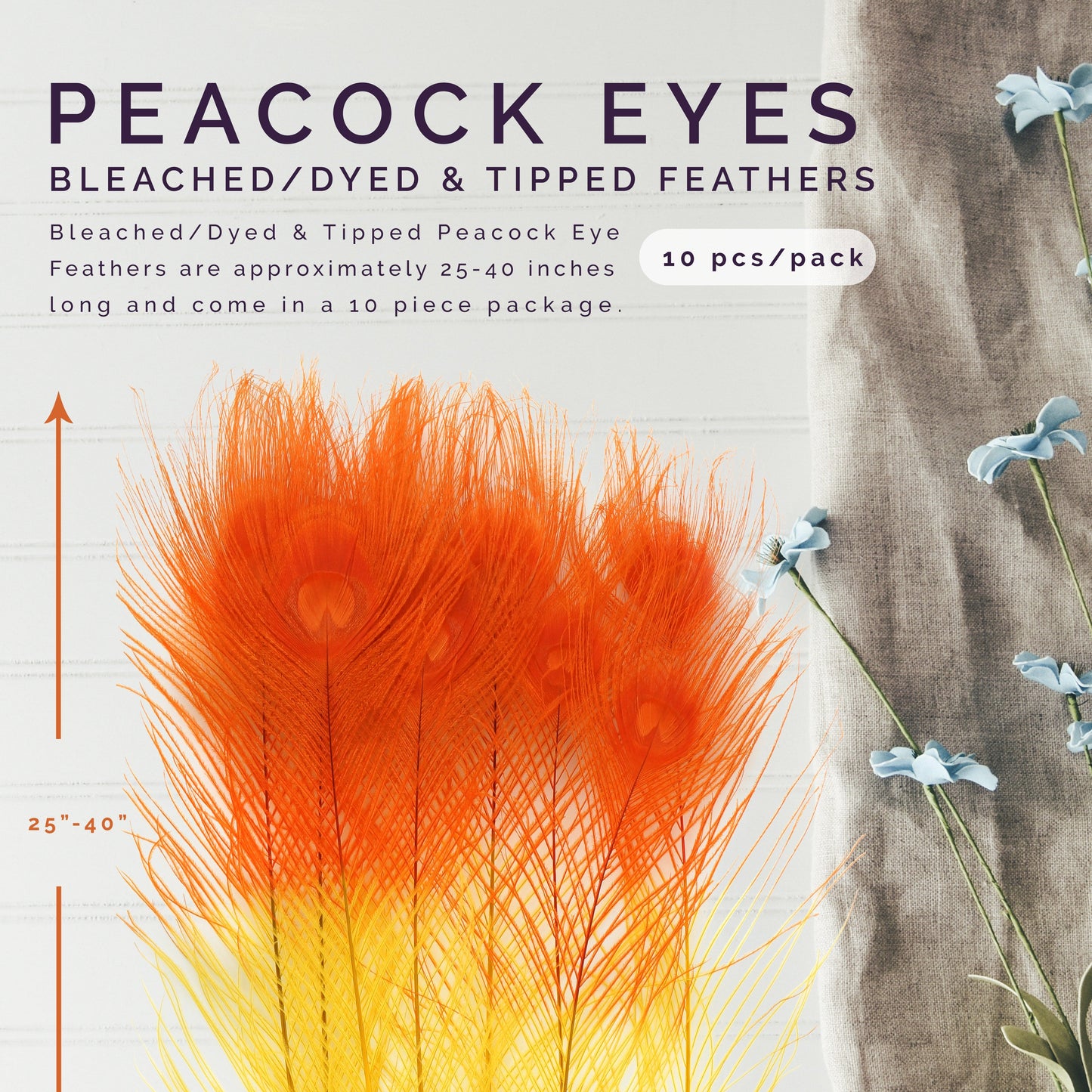Peacock Eyes Bleached/Dyed & Tipped Feathers - 25-40 Inch - 10 PCS - Gold - Orange
