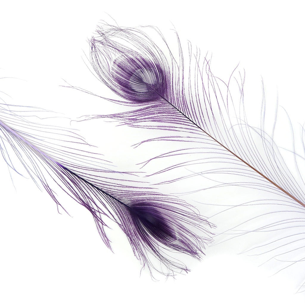 Peacock Eyes Bleached/Dyed & Tipped Feathers - 25-40 Inch - 10 PCS - Orchid - Purple