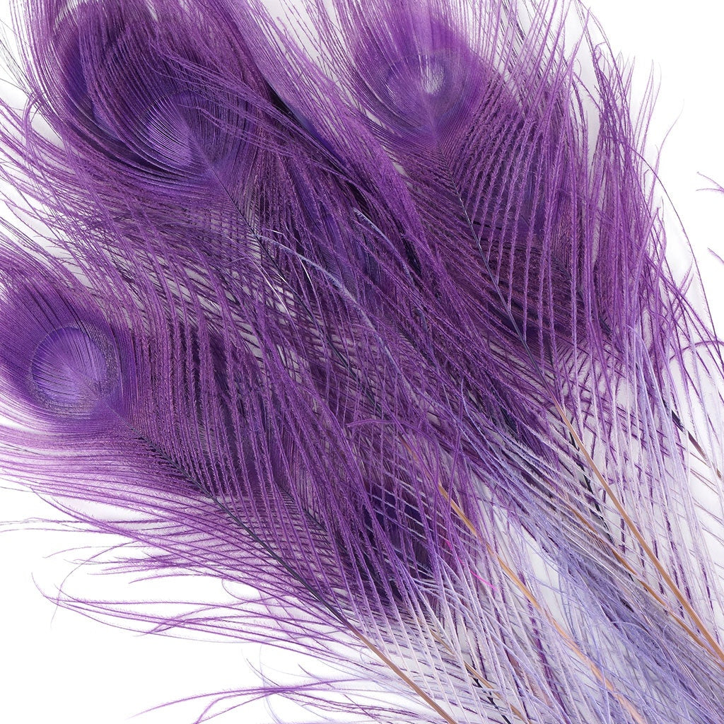 Peacock Eyes Bleached/Dyed & Tipped Feathers - 25-40 Inch - 10 PCS - Orchid - Purple