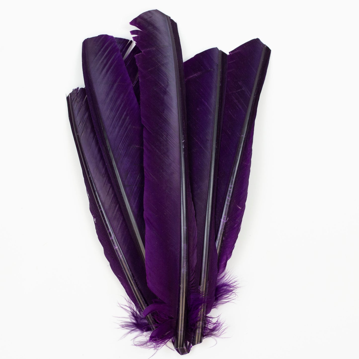 Purple Cut Turkey Pointer Feathers 8-12"