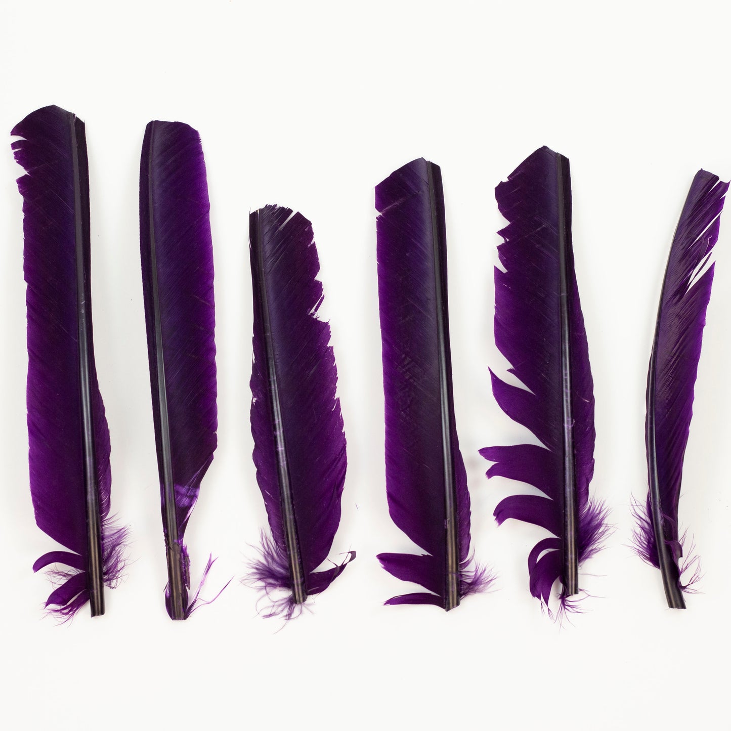 Purple Cut Turkey Pointer Feathers 8-12"