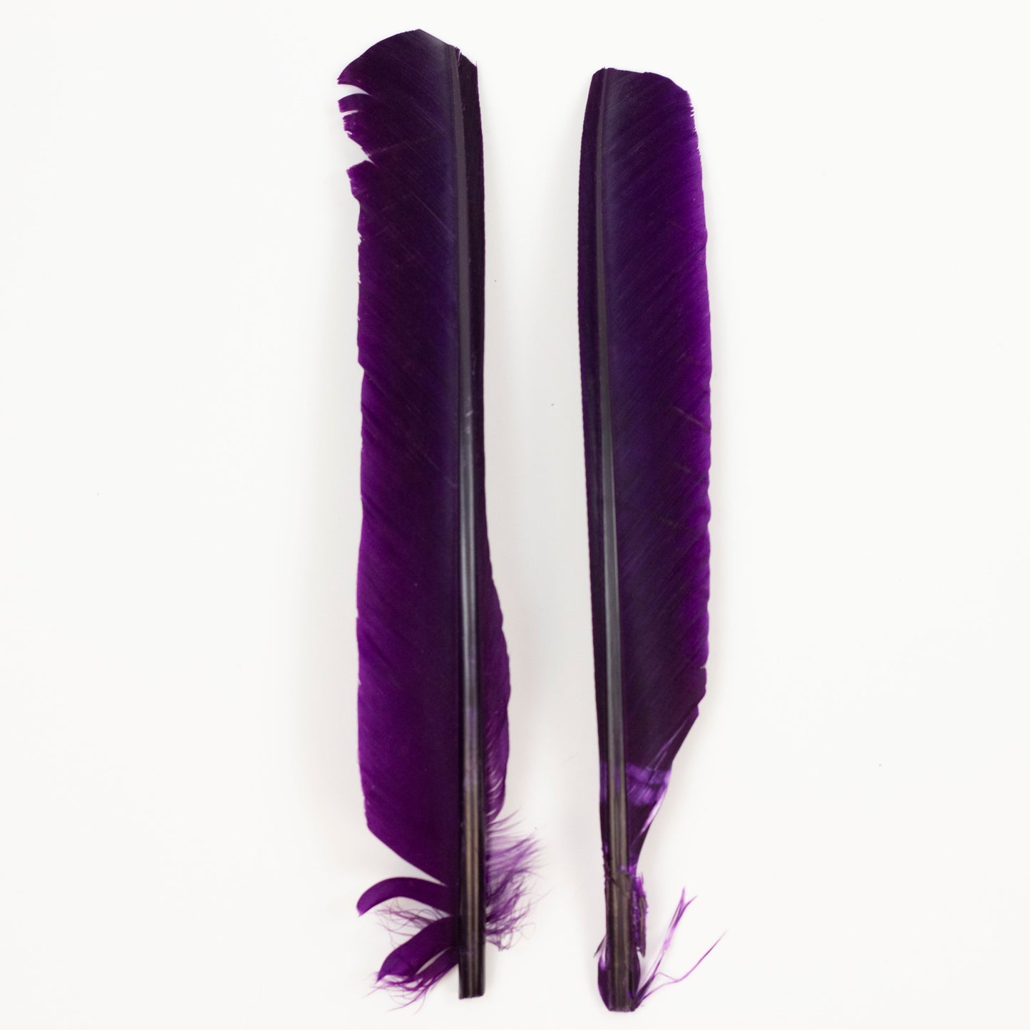 Purple Cut Turkey Pointer Feathers 8-12"