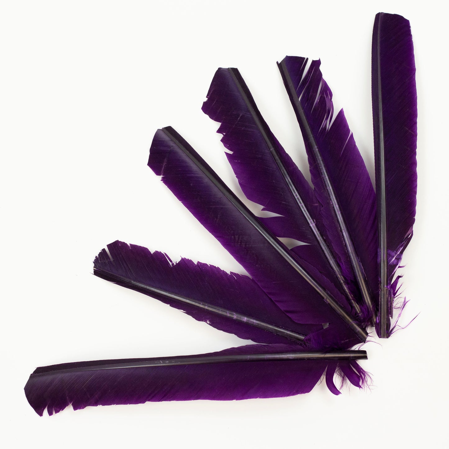 Purple Cut Turkey Pointer Feathers 8-12"