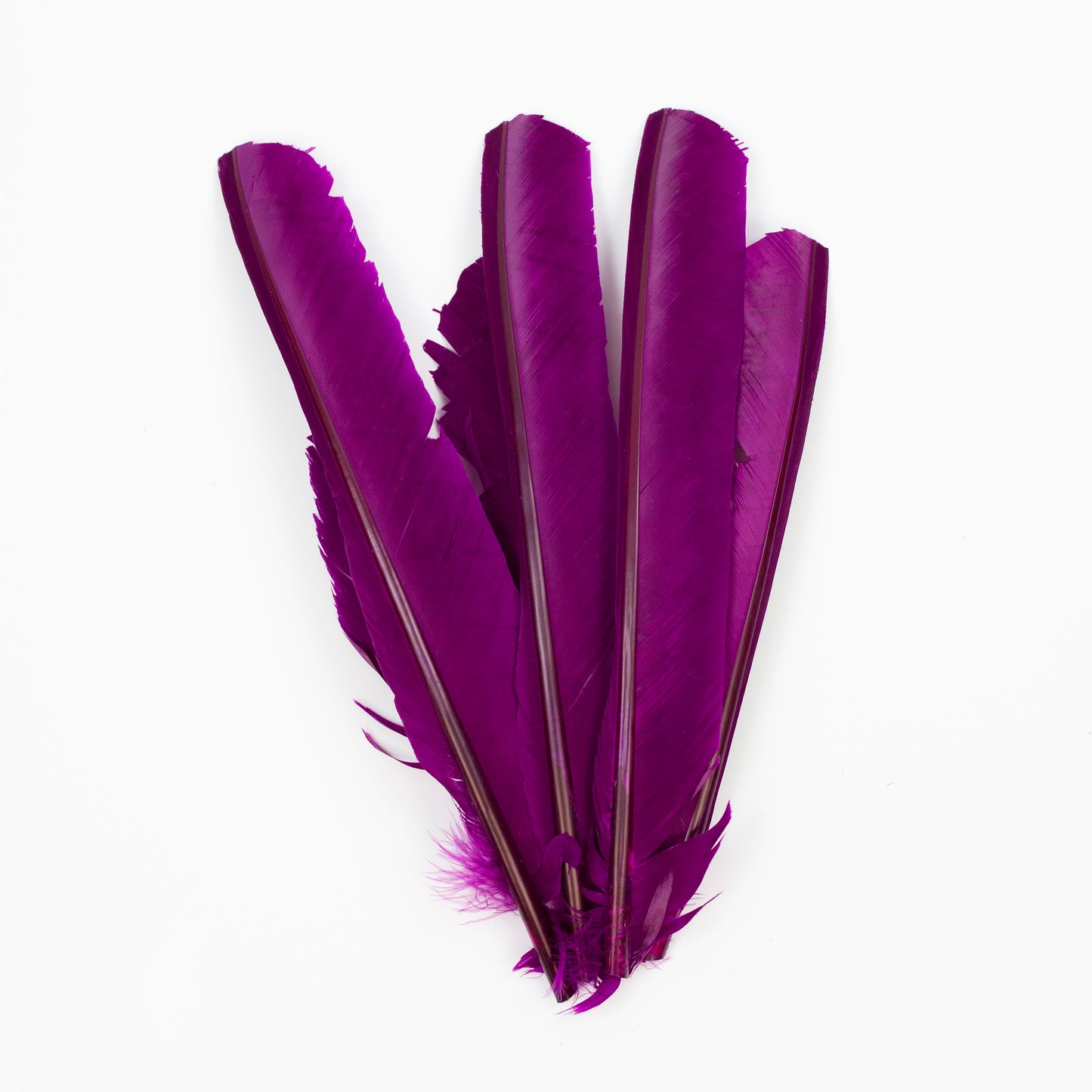 Very Berry Cut Turkey Pointer Feathers 8-12"